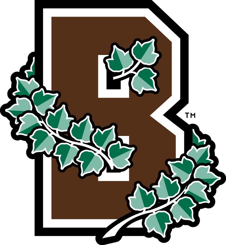 Brown Bears 2003-Pres Alternate Logo diy iron on heat transfer
